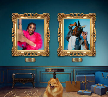 Lady Zamar feat. Fido - Show Me