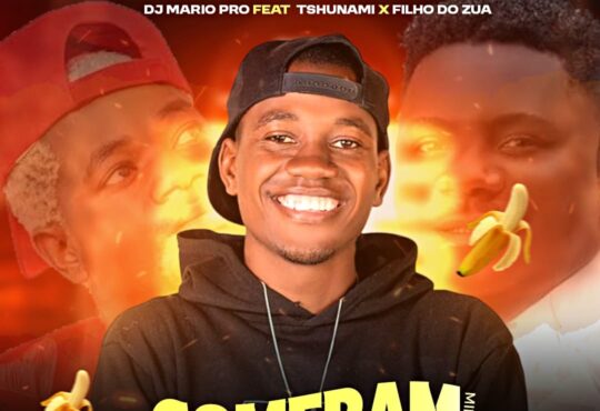 Dj Mario Pro feat. Tshunami, Filho Do Zua & Dj Verigal - Comeram A Minha Banana (Remix)