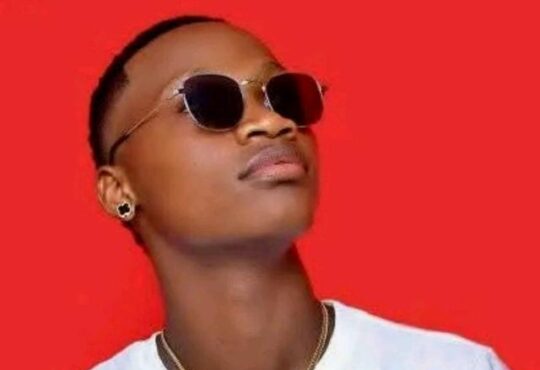 Gucci Boy – Pagante